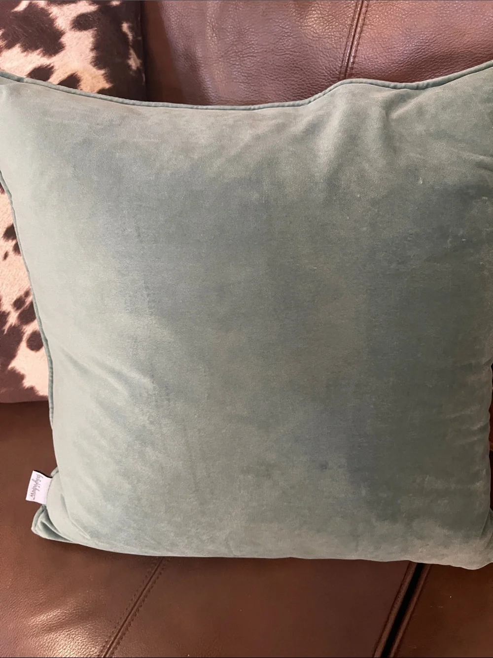Down Pumpkin Vine Throw Pillow - Cream and Green